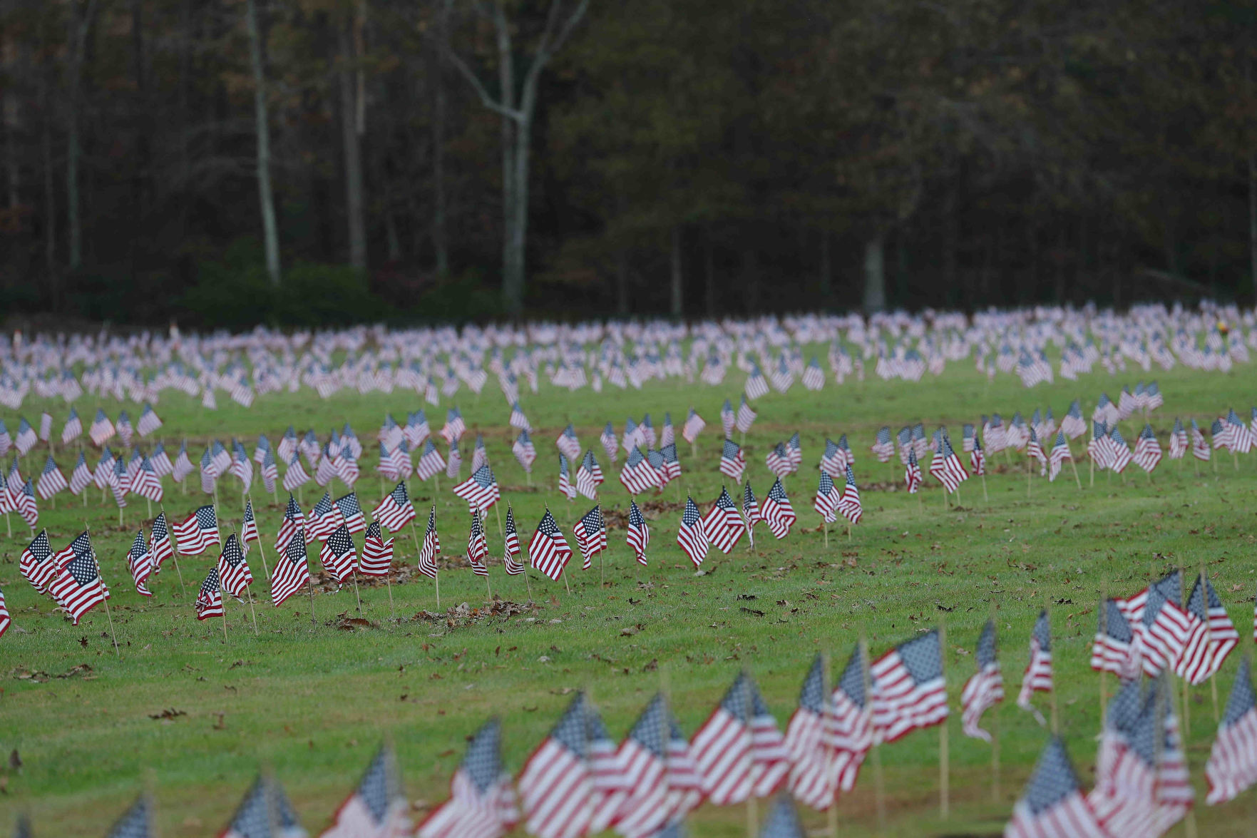 Scouts planted American Flags ahead of Veterans Day